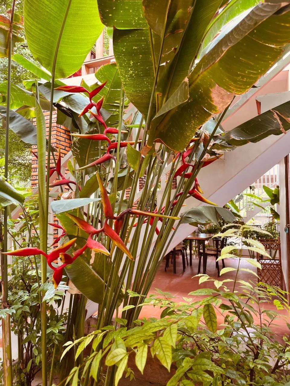 Coconut Lodge กำปอต ภายนอก รูปภาพ